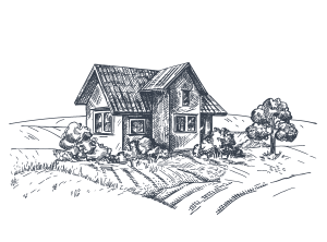 A house surrounded by quaint trees, tucked between hills and fields